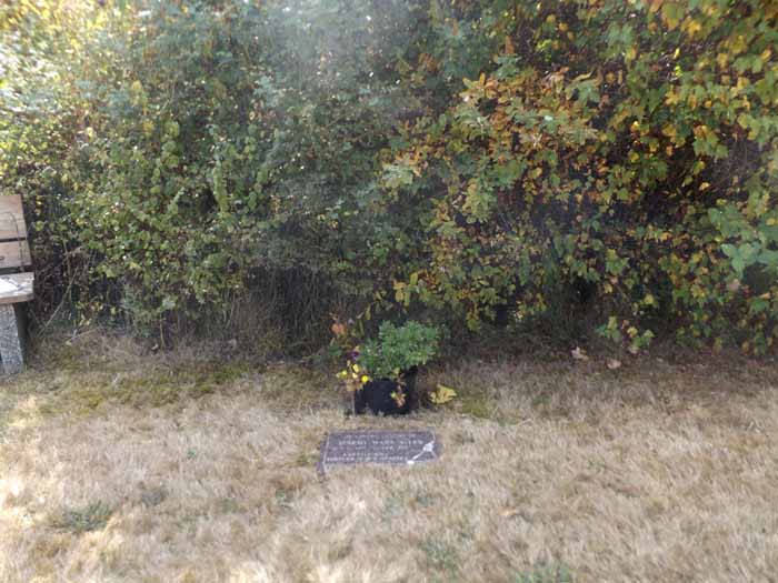 image of gravestone