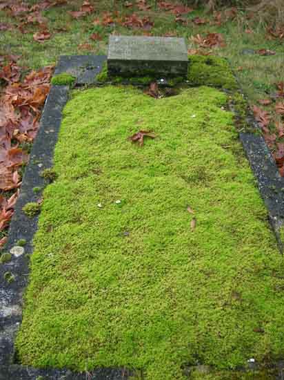 image of gravestone