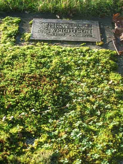 image of gravestone