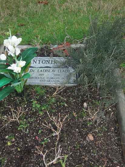 image of gravestone