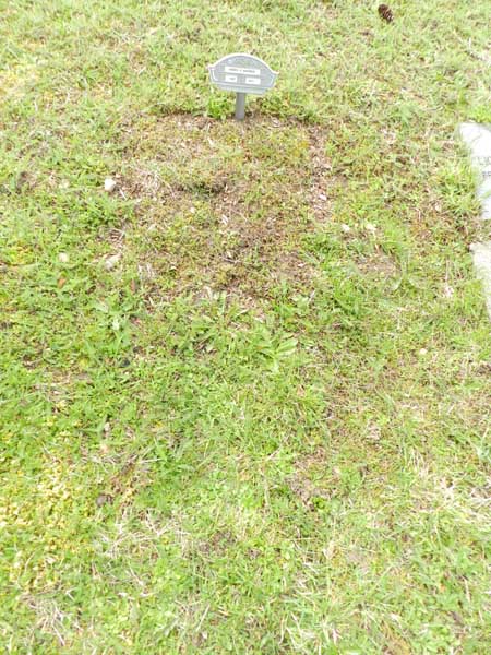 image of gravestone