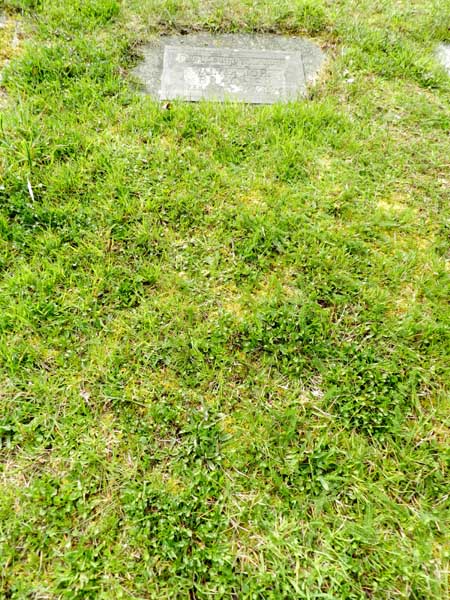 image of gravestone