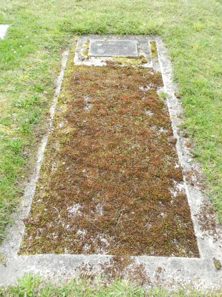image of gravestone