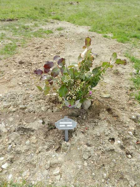 image of gravestone