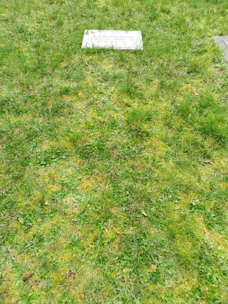 image of gravestone