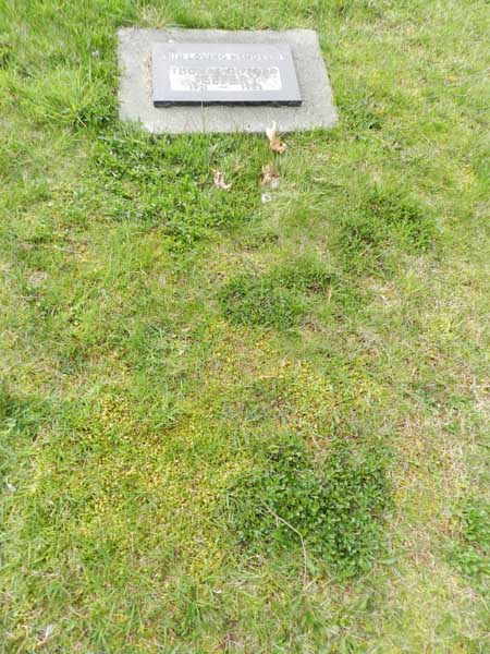 image of gravestone