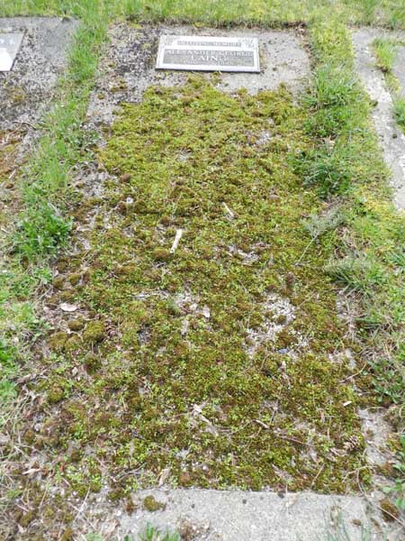 image of gravestone