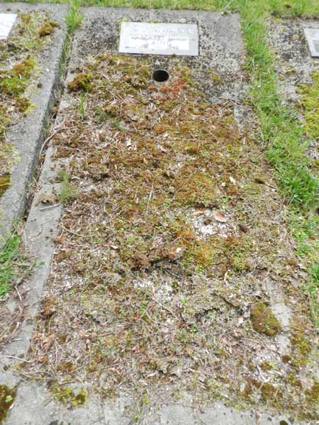 image of gravestone