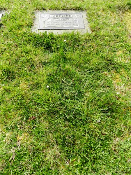 image of gravestone