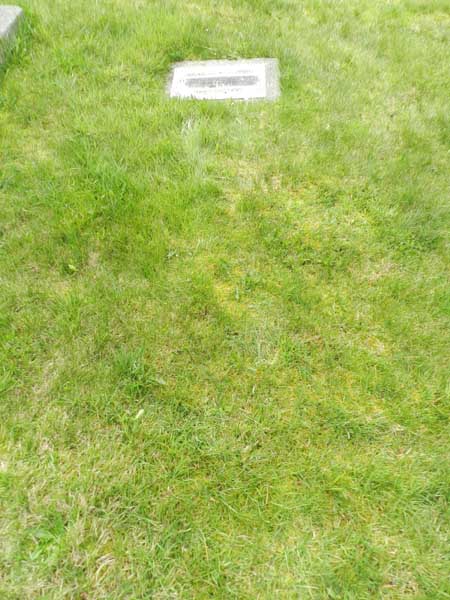 image of gravestone