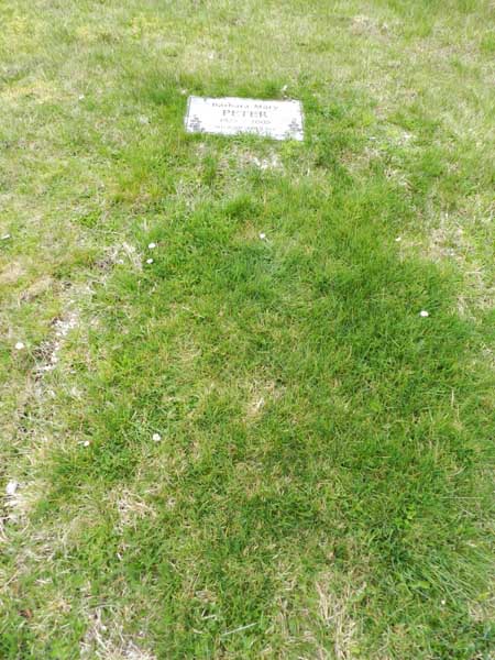 image of gravestone