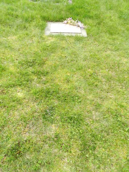 image of gravestone