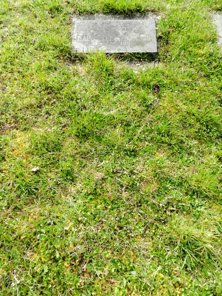 image of gravestone