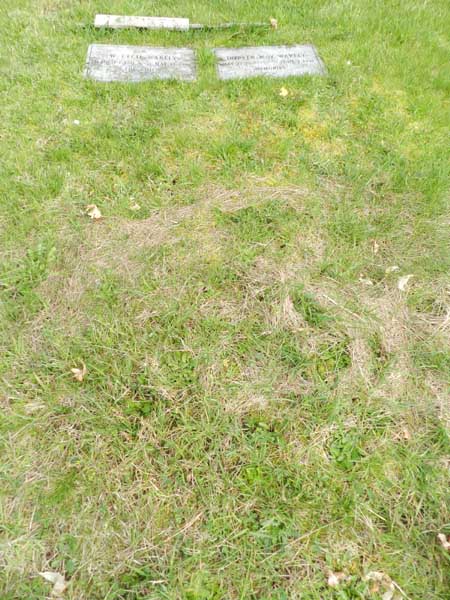 image of gravestone