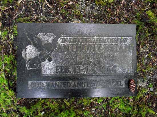 image of gravestone