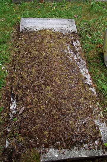 image of gravestone