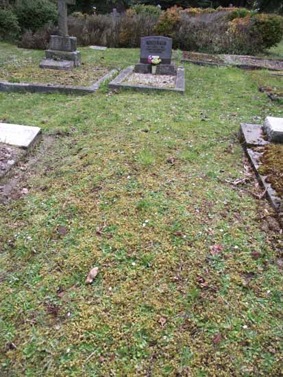 image of gravestone