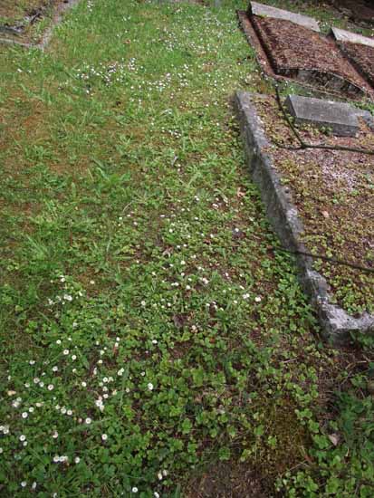 image of gravestone