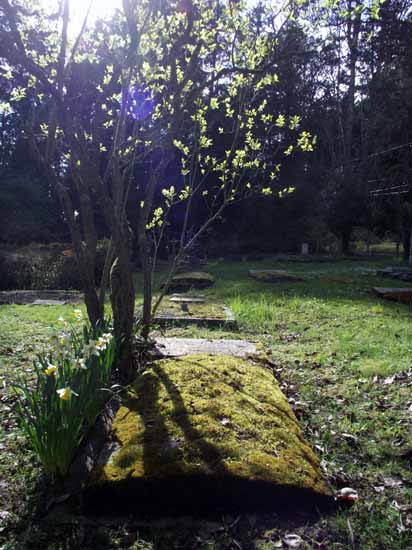 image of gravestone