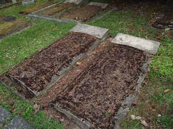 image of gravestone