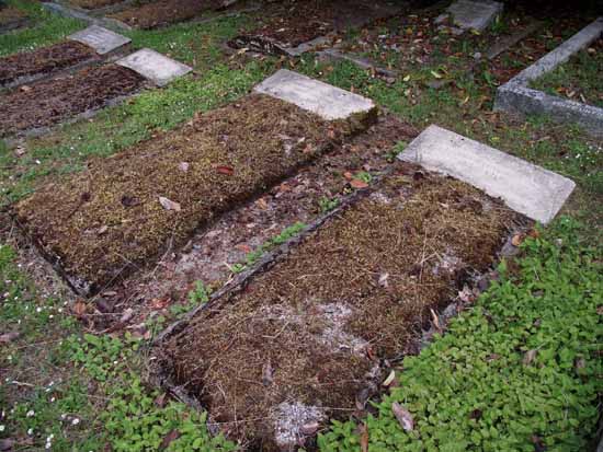 image of gravestone