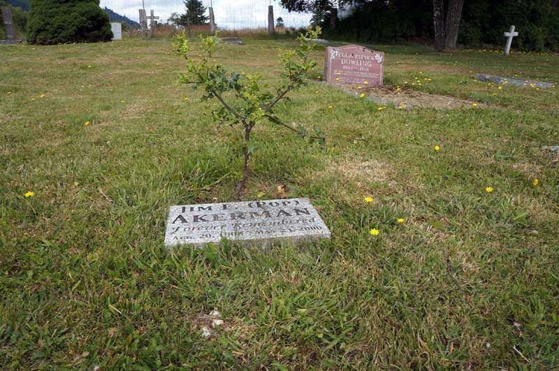image of gravestone