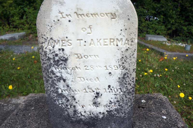 image of gravestone