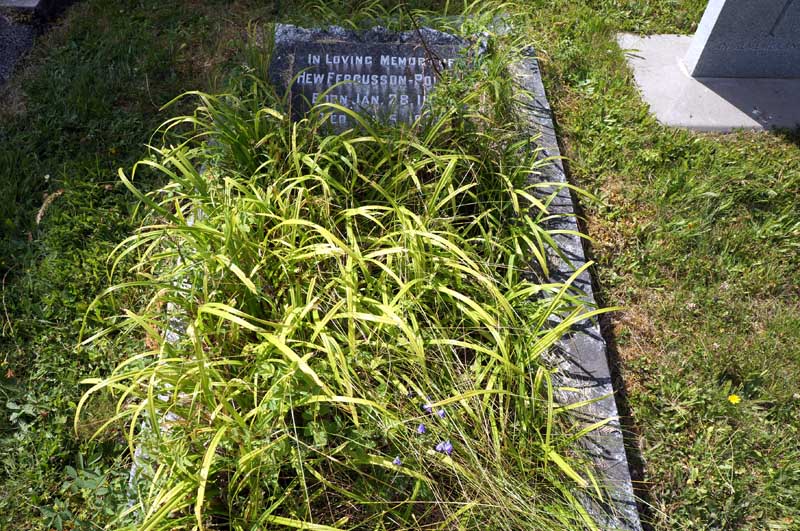 image of gravestone