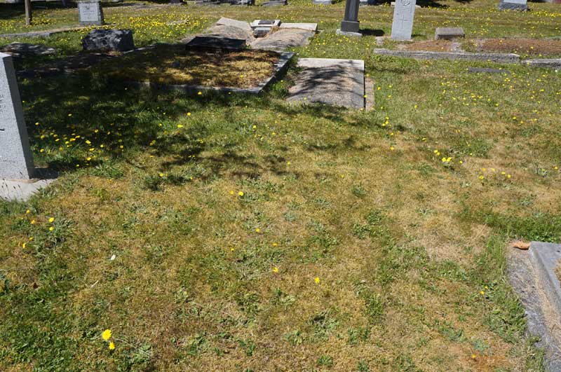 image of gravestone