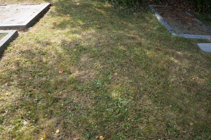 image of gravestone