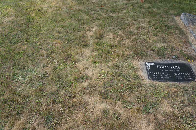 image of gravestone
