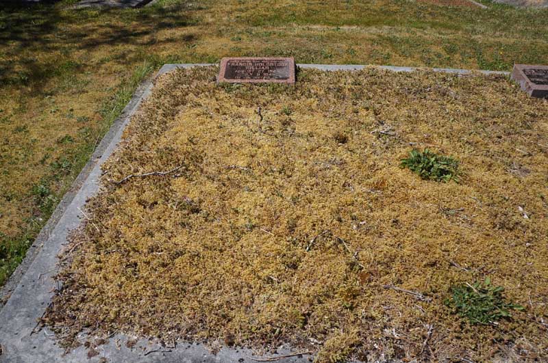 image of gravestone