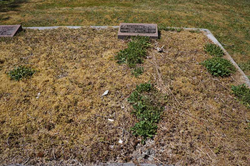 image of gravestone