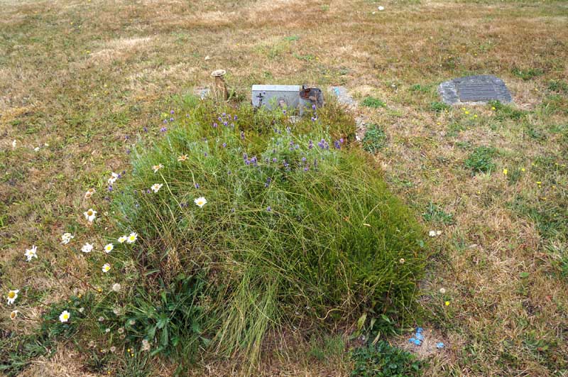 image of gravestone
