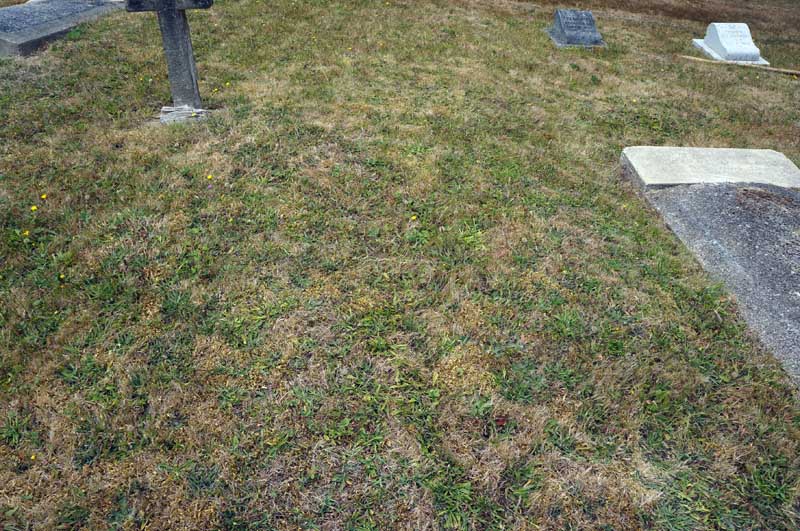 image of gravestone