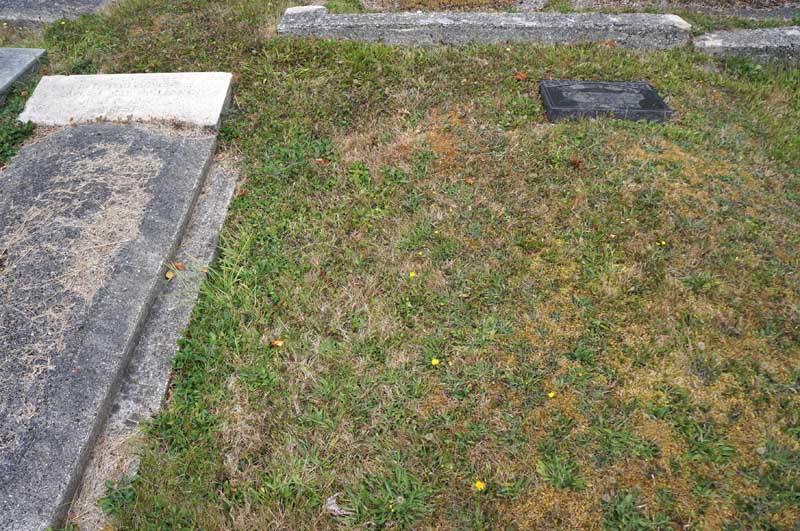 image of gravestone