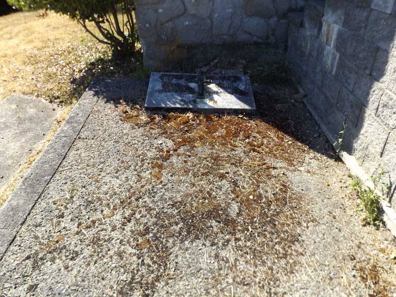 image of gravestone