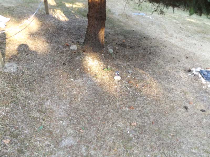 image of gravestone