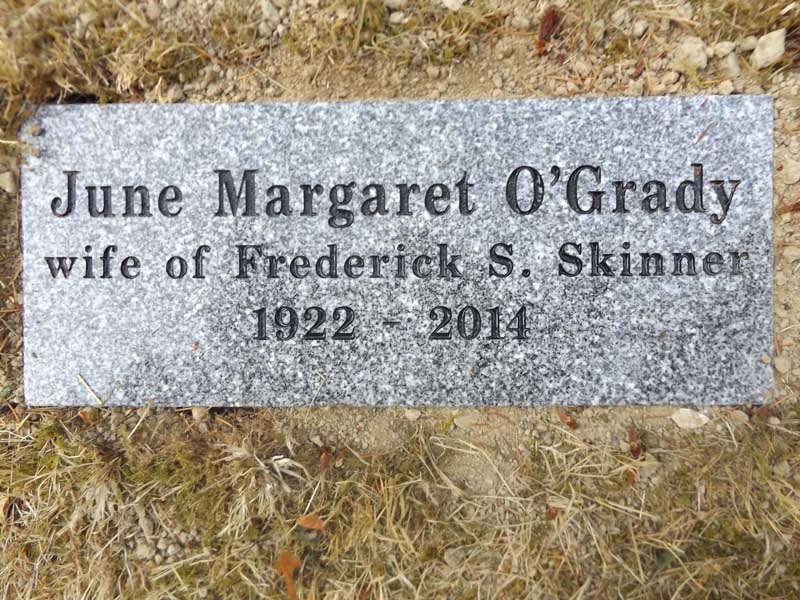 image of gravestone