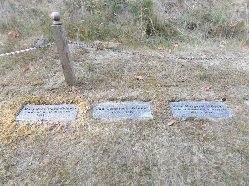 image of gravestone