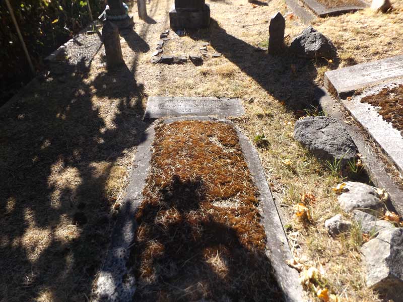image of gravestone