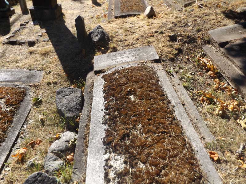 image of gravestone