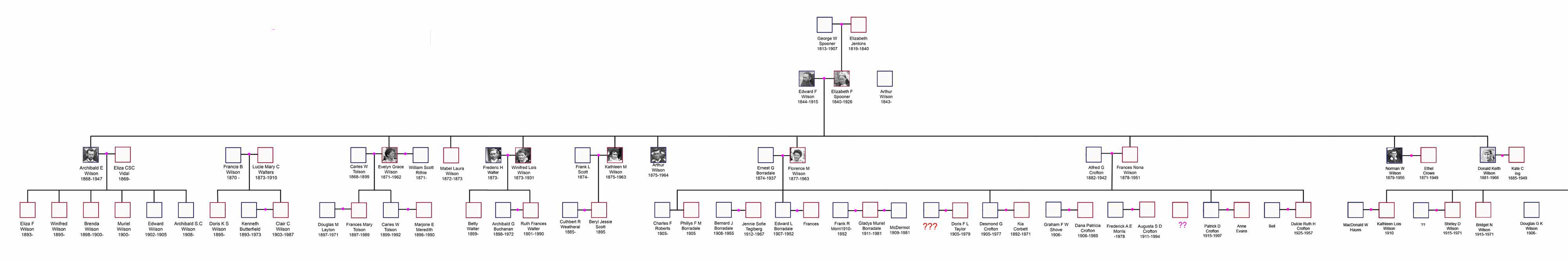 Wilson Family Tree