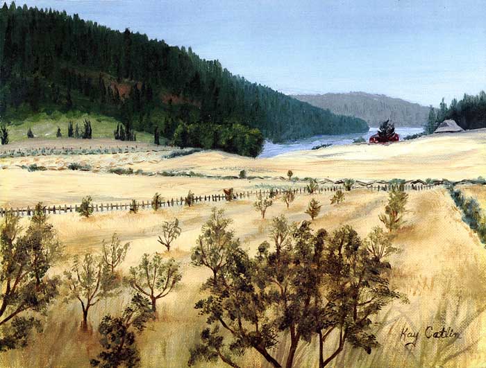 Burgoyne Bay