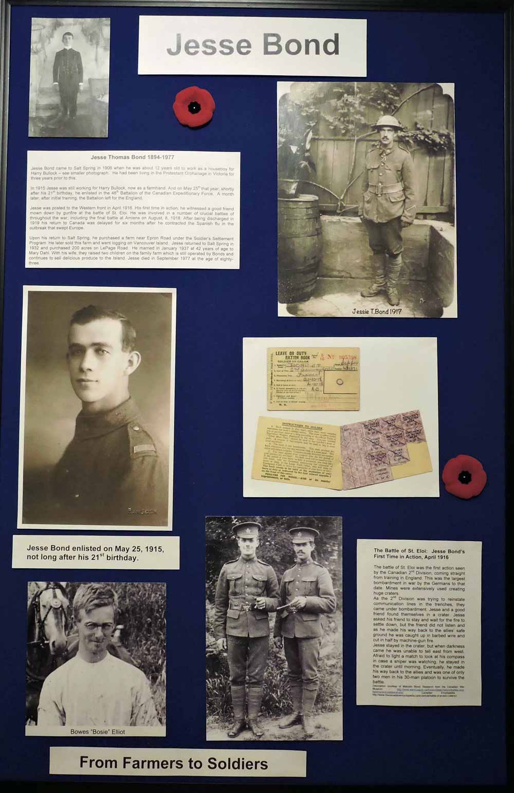 Salt Spring in the Great War display panel