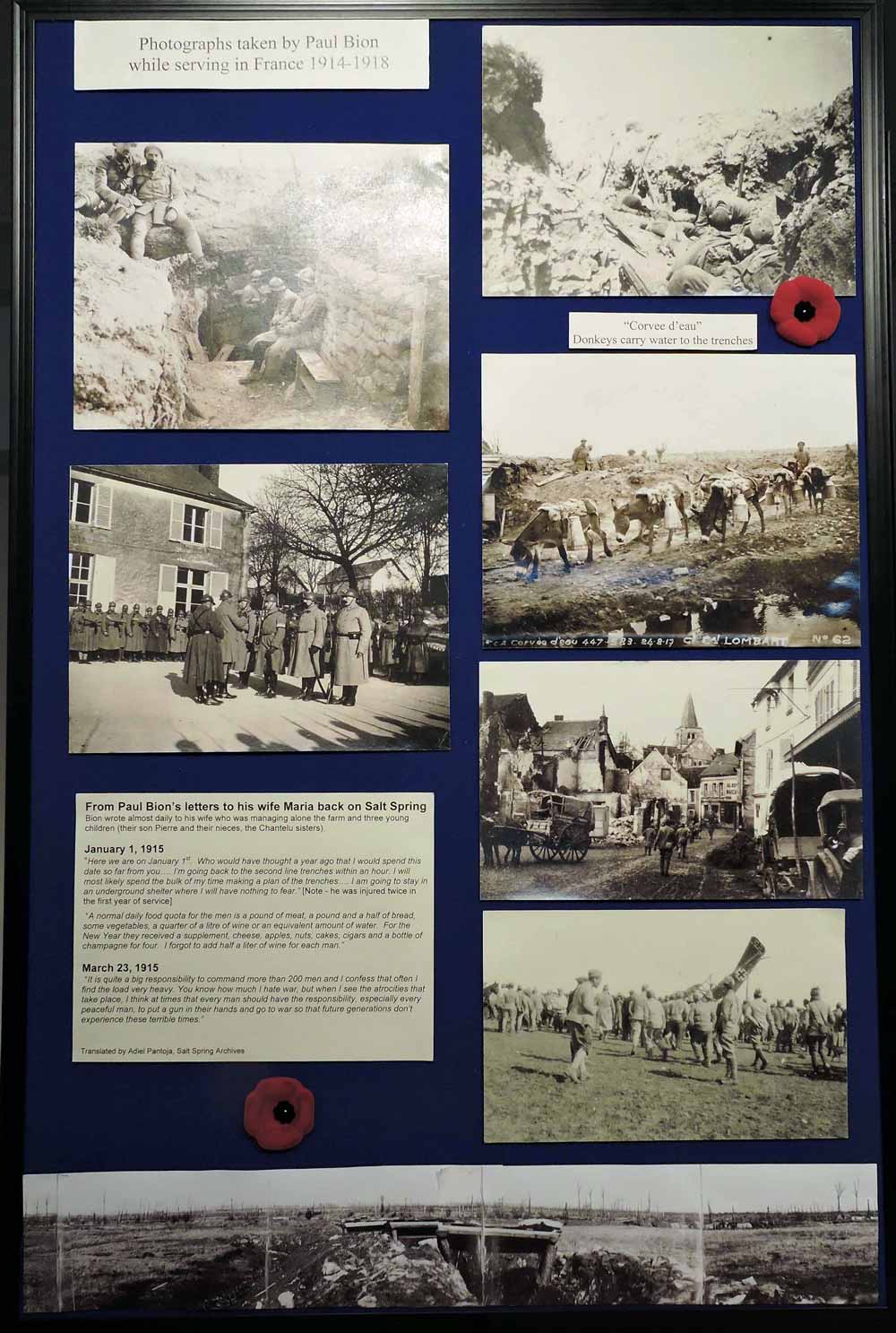 Salt Spring in the Great War display panel