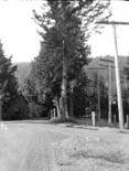 2011001312