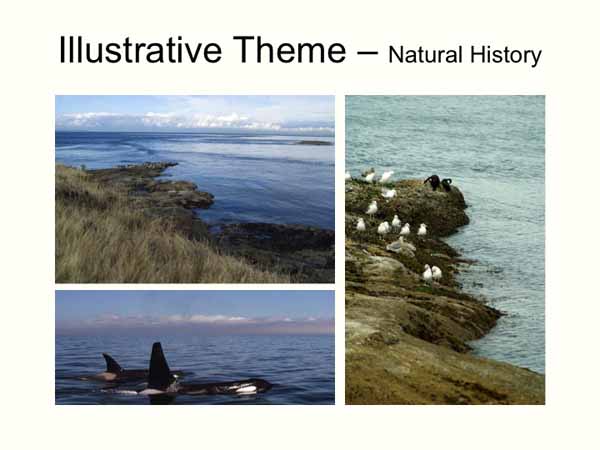 Slide36