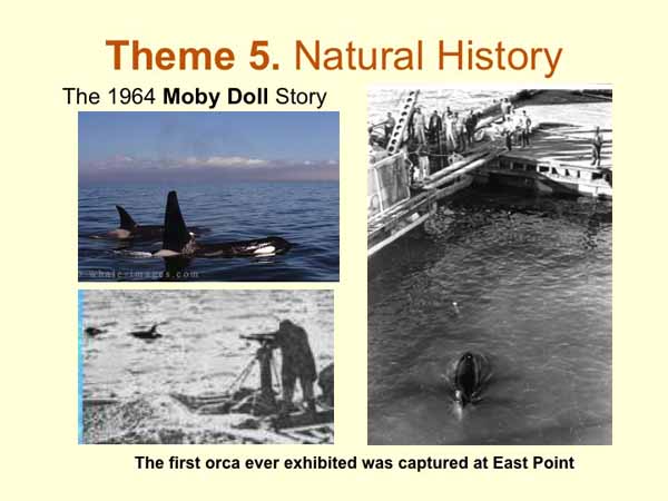 Slide61