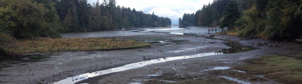 photo of Booth Bay, one end of the canoe skid across Saltspring Island